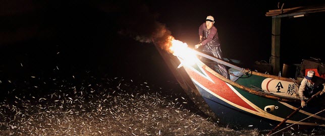 石門區特有的捕魚活動